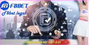 Quyền lợi và nghĩa vụ của người chơi