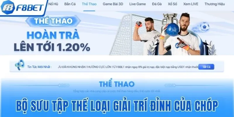 Bộ sưu tập thể loại giải trí đỉnh của chóp