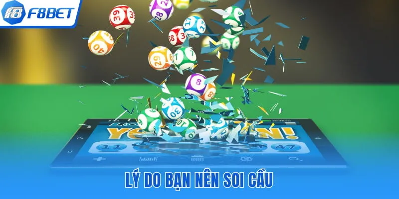 Lý do bạn nên soi cầu
